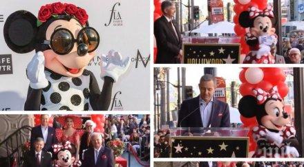 признание мини маус звезда алеята славата холивуд