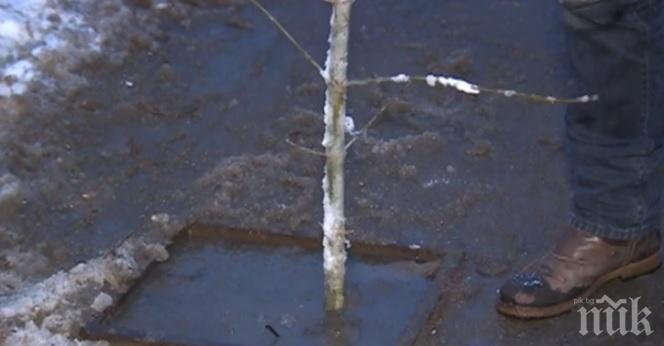 Майка падна с бебето си в улична шахта 