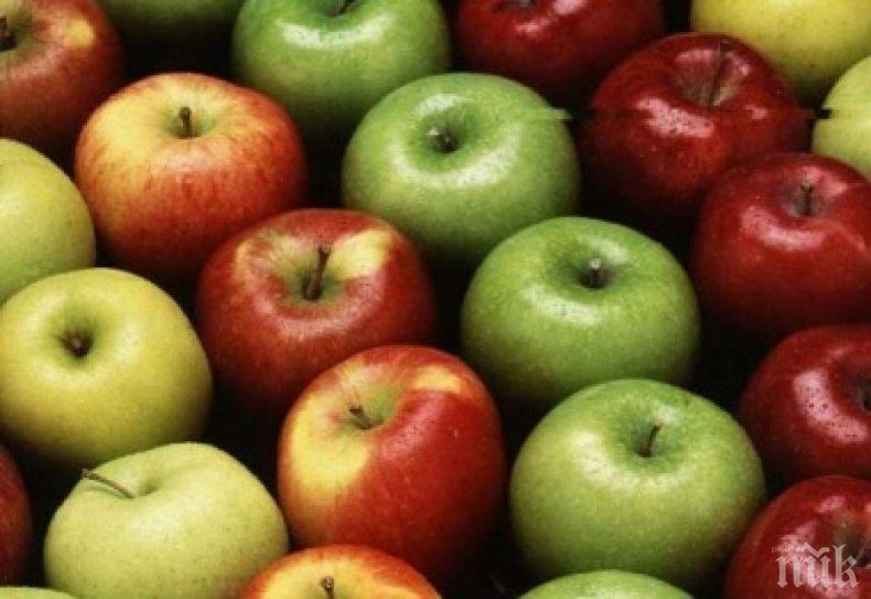 Сърбия търси виновните за прекомерния износ на ябълки за Русия