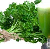 ЧУДО НА ПРИРОДАТА! Магданозът ни спасява от гастрит