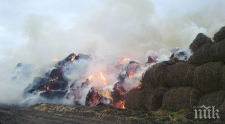 пожар изпепели 1500 бали сено айтос