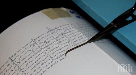 трус земетресение магнитуд рихтер било регистрирано бреговете индия