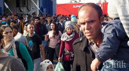 задържаха български камион мигранти унгария