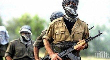 отрядите народна самоотбрана поискаха помощ режима башар асад