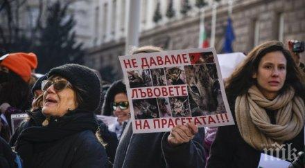 обезчовечаване джендърите нов рекет борисов път две лъвчетамайната децата