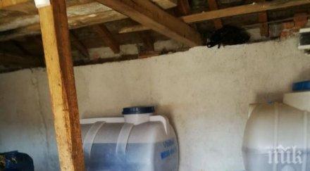 митничари прикритие предлагат ракия лева литър снимки