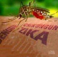 Опасно! В Русия предупреждават: Турция пред епидемия от вируса „Зика“