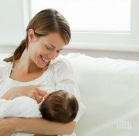 Правят стаи за кърмене в църквите