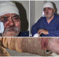 ЖЕСТОК ИНЦИДЕНТ! Овчарско куче нахапа зверски съсед на президента Румен Радев