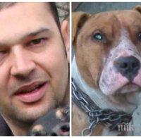 ЦИНИЗЪМ! Събират подписка за спасяването на кучето убиец на детето от Мокрище
