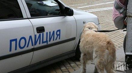 извънредно пик министър радев българия действаща зоополиция