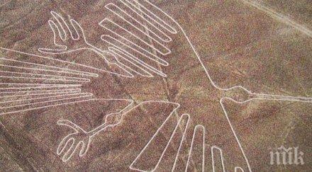 шофьор камион съсипа уникалните геоглифи платото наска
