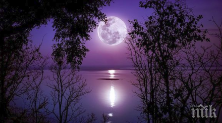 януари задължително погледнете нощното небе видите нещо изумително