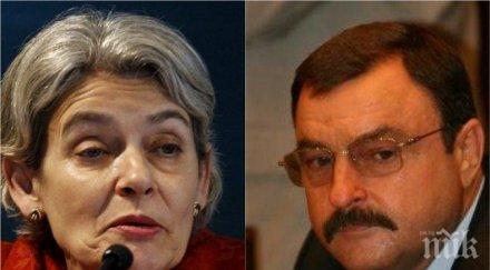 ново амплоа ирина бокова поема компания руски олигарх