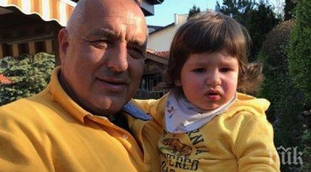 първо пик премиерът борисов похвали мрежата играе карти внука снимка