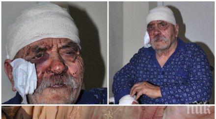 жесток инцидент овчарско куче нахапа зверски съсед президента румен радев