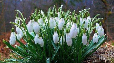 температурата търново достигна градуса вторник