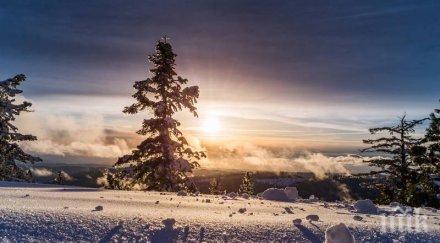 февруарска лудост термометърът скача градуса редуват слънце сняг