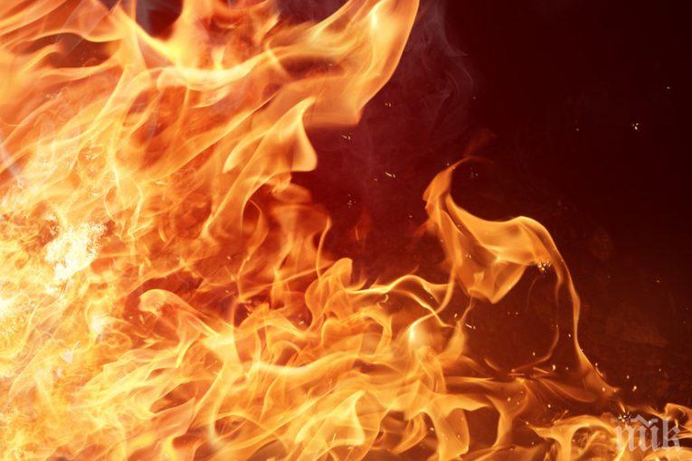 ШОК И УЖАС! Жена изгоря жива в санданско село