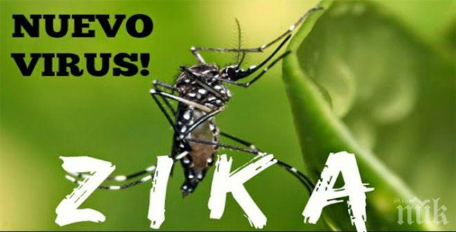 Роспотребнадзор алармира: В  Турция са открити комари, пренасящи вируса Зика