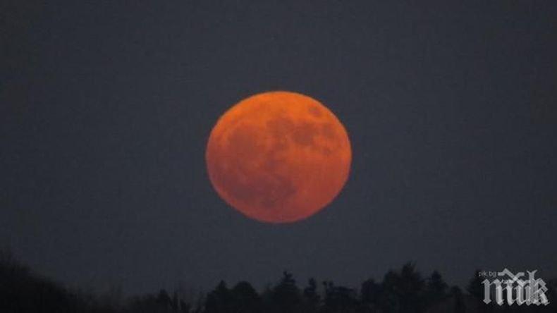 Погледнете към небето! Виждате ли ги?