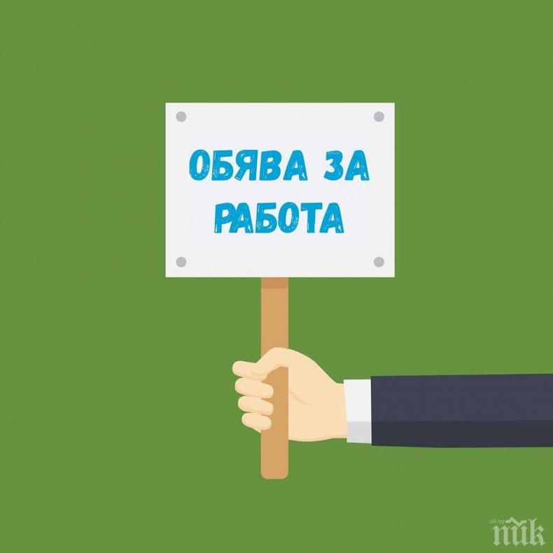 Столична община ще бори мръсния въздух с дирекция, търси директор