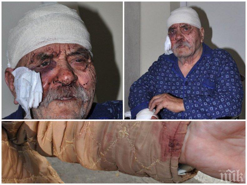 ЖЕСТОК ИНЦИДЕНТ! Овчарско куче нахапа зверски съсед на президента Румен Радев