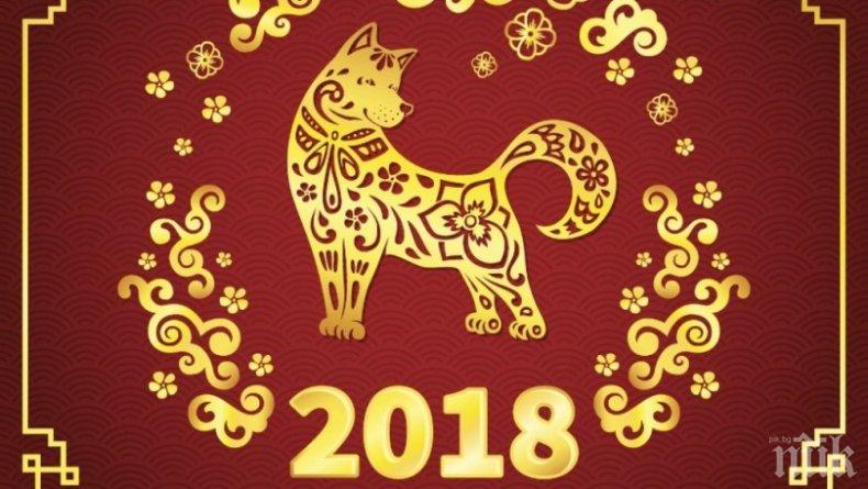 ВАЖНО! Синьо и червено носят нещастие в годината на Жълтото куче  