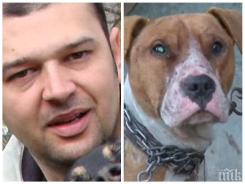ЦИНИЗЪМ! Събират подписка за спасяването на кучето убиец на детето от Мокрище