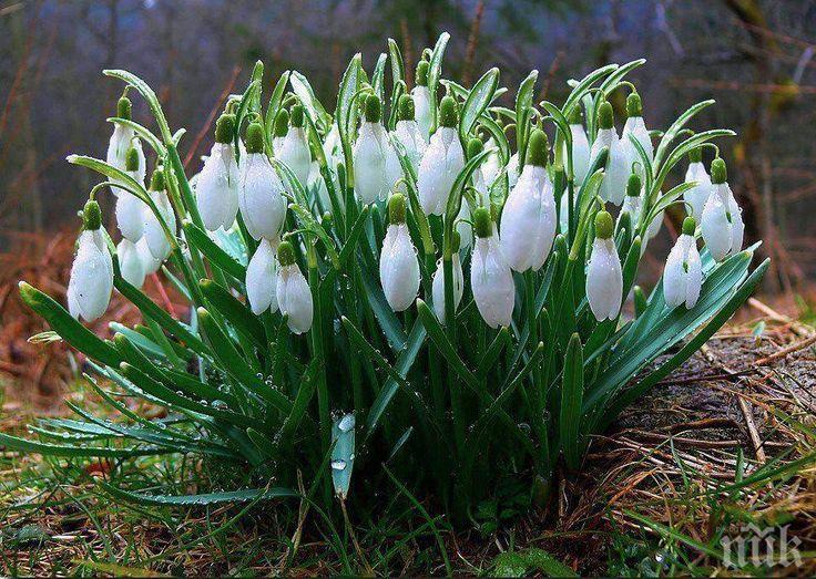 Температурата в Търново достигна до 19 градуса във вторник