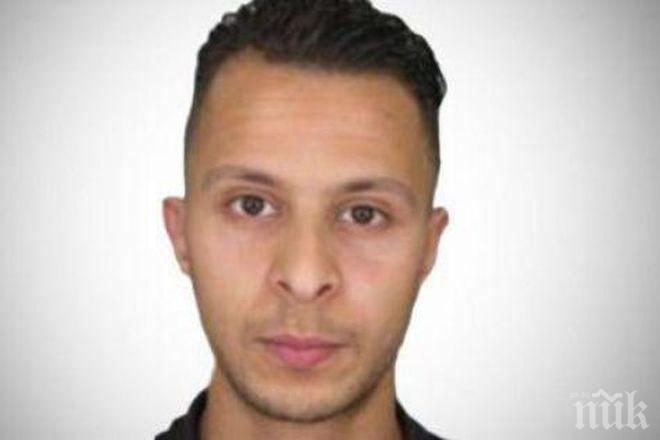 Абдеслам не се взривил в Париж заради дефектен колан с експлозиви