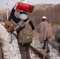 Германия ограничи събирането на мигрантски семейства със закон