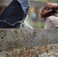 ИЗВЪНРЕДНО! Ураганните ветрове продължават, нахлува и студ