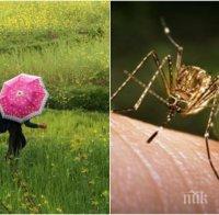 ЖЕСТОК СКАНДАЛ! Броят комари по Дунав за милиони левове