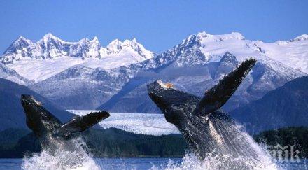 тревожно шест студени места буквално топят