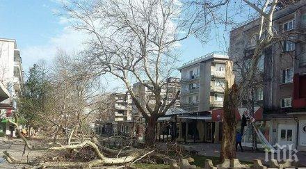 областният управител враца ураганните ветрове региона ситуацията овладяна