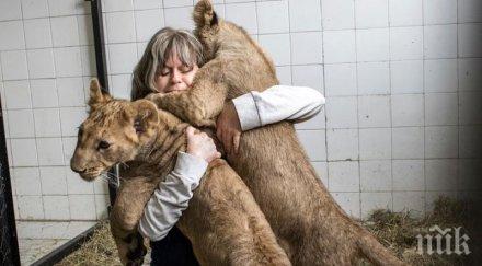 лъвчетата орхан мурад джендаризмът избива содомия помислим лъва герба