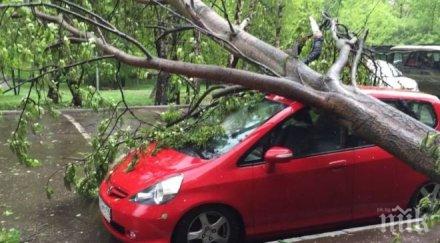 нова застрахователна измама автомобили