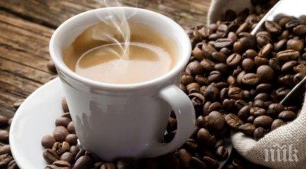 кафето отива съд магистрати решават дали токсично