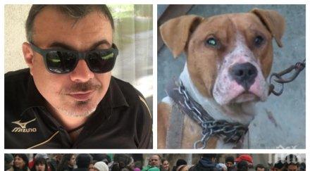 контра иван ласкин бесен еколозите кучето убиец посраняци пачаври платени капути видя зелен счупя мандибулата