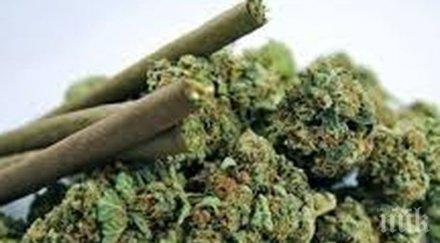 екшън поморие полицията закопча дилър дрога центъра града