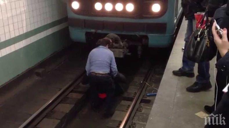 ТРАГЕДИЯ В МЕТРОТО! Мотриса прегази студентка, паднала на релсите 