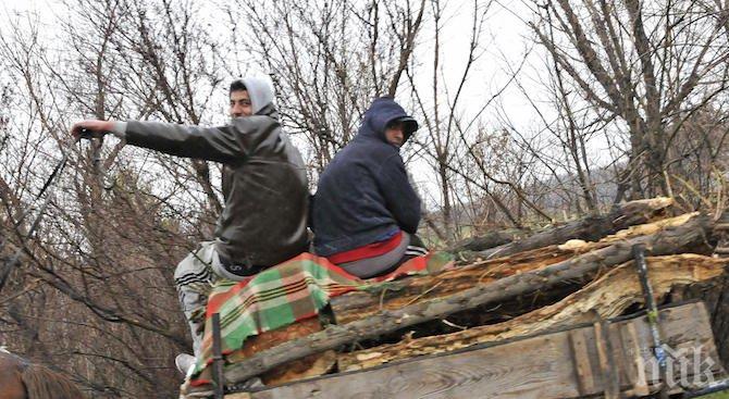 ТРАГЕДИЯ! 15-годишно момче умря при нелеп инцидент