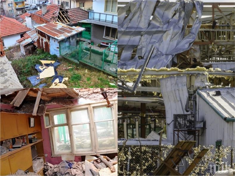 СЛЕД УРАГАНА ВЪВ ВРАЦА: Вятърът нанесъл щети за стотици хиляди левове