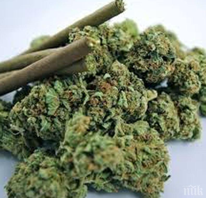 Екшън в Поморие! Полицията закопча дилър на дрога в центъра на града