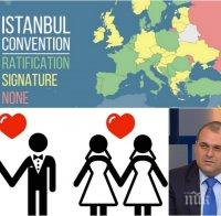 РАЗБИХА ИСТАНБУЛСКАТА КОНВЕНЦИЯ: Джендър утопията трябва да бъде спряна, в България не може да има гей бракове!