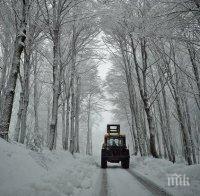 Метър и половина сняг затрупа Япония