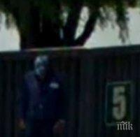 ШОКИРАЩО! Уфолози намериха рептил в Гватемала с помощта на Гугъл (ВИДЕО)