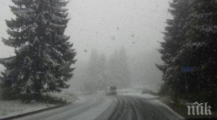 сняг вали петрохан вижте каква пътната обстановка страната