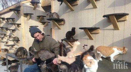 властелинът котките американец построи земен рай 300 писани снимки